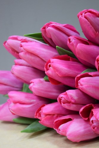 розовый обычный